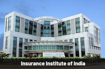 MoU, CUB, University Collaboration, Internship Opportunities, Insurance Institute of India Opportunities 